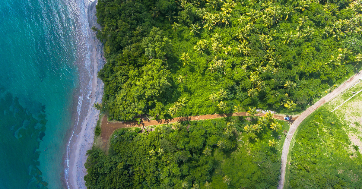 Overview landscape of lush green jungle and ocean
