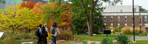 Students walking across campus